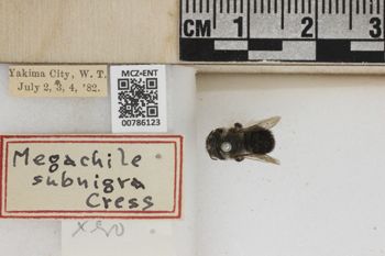 Media type: image;   Entomology 786123 Aspect: Labels